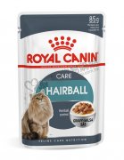 Royal Canin成貓除毛球配方(肉汁)85g