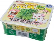 Petio日本產自種貓草方便套裝(貓狗專用)