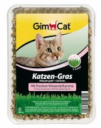 GimCat香味貓草150g