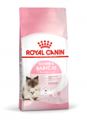 Royal Canin 1-4個月BB幼貓糧2kg(BA34)