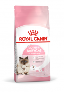 Royal Canin 1-4个月BB幼猫粮 4kg (BA34)^