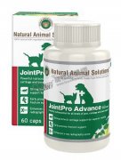 強效全方位骨骼靈60粒