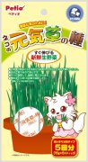 Petio自種貓草種子15g×5包(貓狗專用)