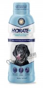OraladeHydrate+ 狗用電解質速補營養液500ml