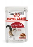 Royal Canin 12個月以上滋味成貓濕糧85g