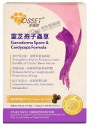 愛寵健靈芝孢子蟲草貓用肉粒180粒