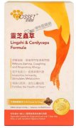 愛寵健靈芝蟲草犬用肉粒160粒