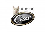 Cesar