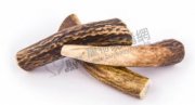Pawever鹿角整條(S)10cm(1條)
