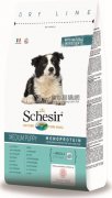 Schesir天然雞肉中型幼犬糧12kg