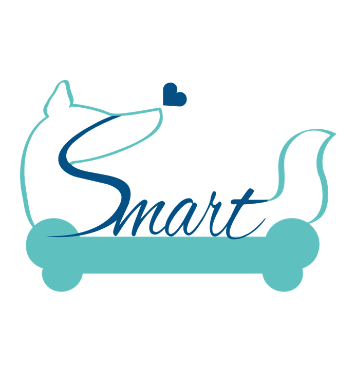 SmartLove